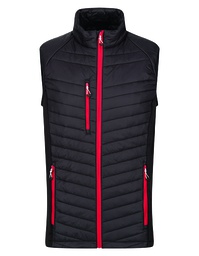 Regatta Professional TRA894 Navigate Hybrid Bodywarmer