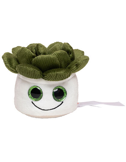Mbw M160849 Schmoozies® Evergreenies® Sukkulente