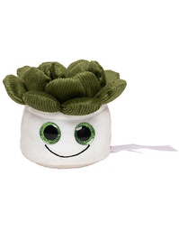 Mbw M160849 Schmoozies® Evergreenies® Sukkulente