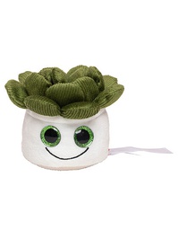 Mbw M160849 Schmoozies® Evergreenies® Sukkulente
