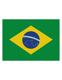 [1000063487] Printwear Fahne Brasilien