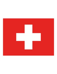 [1000063491] Printwear Fahne Schweiz
