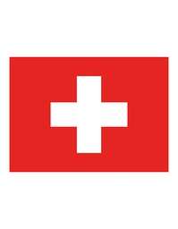 Printwear Fahne Schweiz