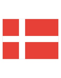 [1000063493] Printwear Fahne Dänemark