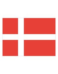 [1000063493] Printwear Fahne Dänemark