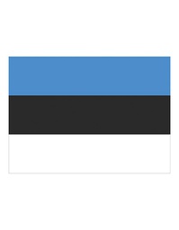 [1000063494] Printwear Fahne Estland