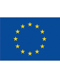 [1000250024] Printwear Fahne Europa