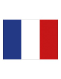 [1000063499] Printwear Fahne Frankreich