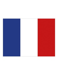 [1000063499] Printwear Fahne Frankreich