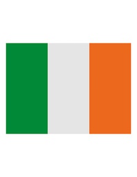 [1000063504] Printwear Fahne Irland