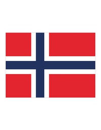 [1000063517] Printwear Fahne Norwegen