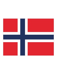 [1000063517] Printwear Fahne Norwegen