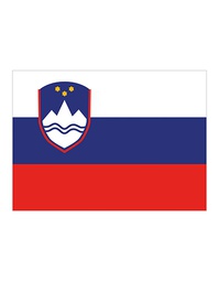 [1000063525] Printwear Fahne Slowenien