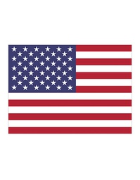 [1000063529] Printwear Fahne USA