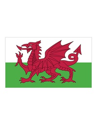 [1000063530] Printwear Fahne Wales