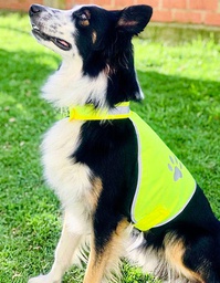 Korntex KTH100 Stretchy Hi-Vis Safety Vest For Dogs Buenos Aires